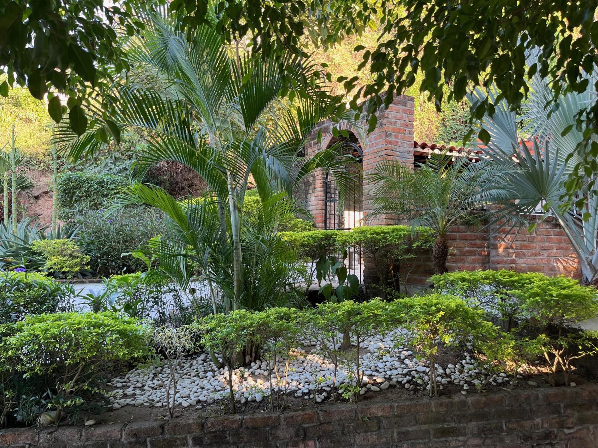 La Villa Palmier - Your quiet house Puerto Vallarta Extérieur photo
