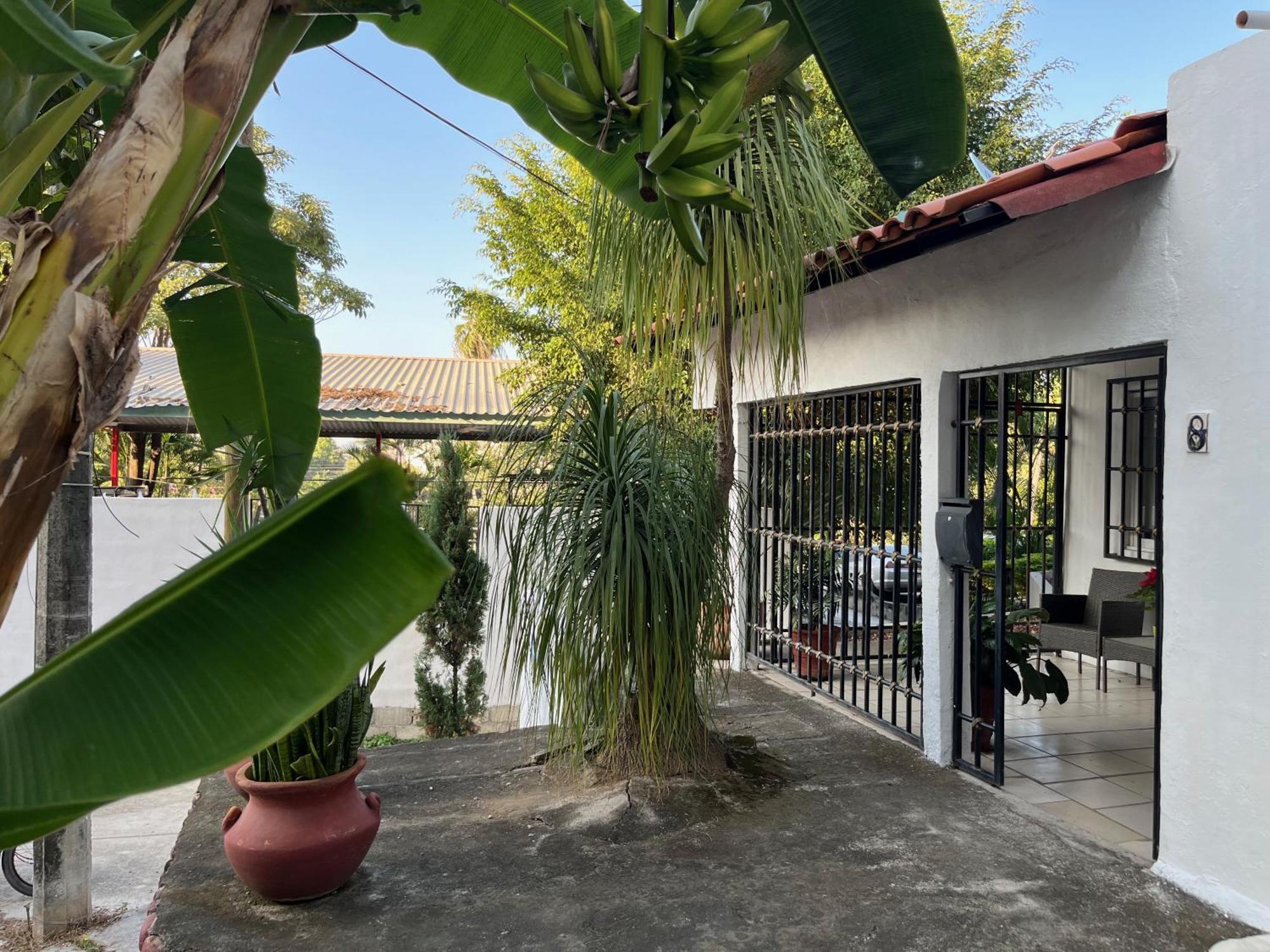 La Villa Palmier - Your quiet house Puerto Vallarta Extérieur photo